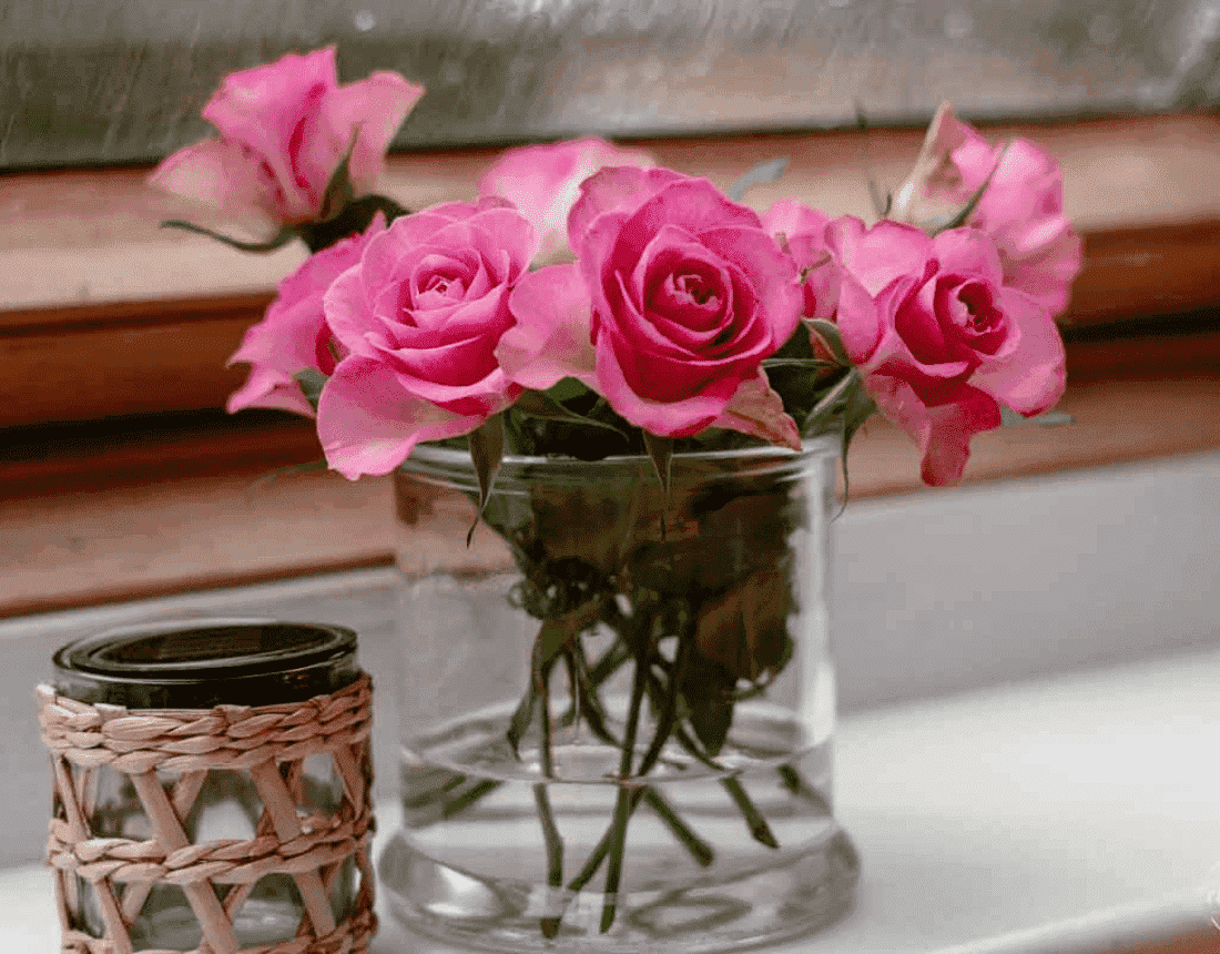 Friday-Flowerday_elkevoss.de_2
