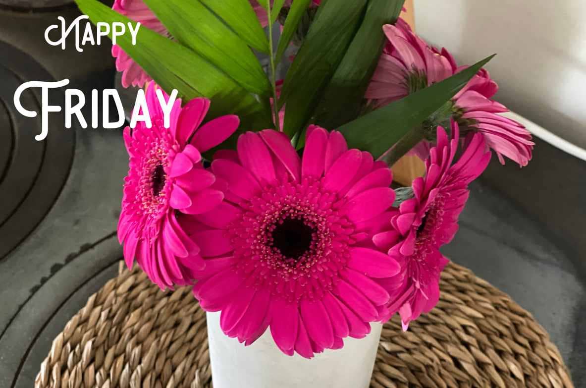 Friday-Flowerday-elkevoss.de