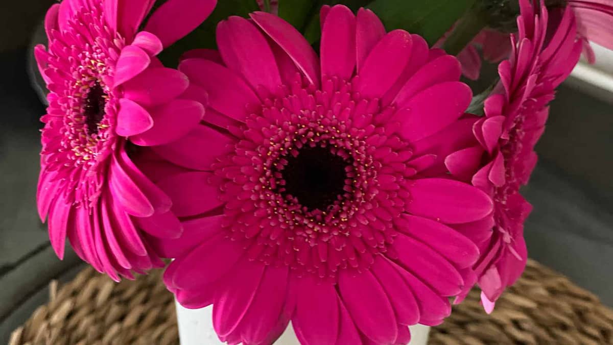 Friday-Flowerday-elkevoss.de