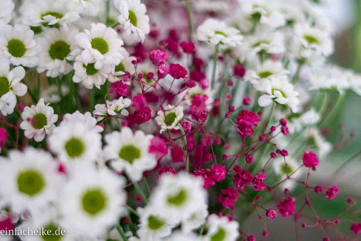 Friday-Flowerday-einfachelke