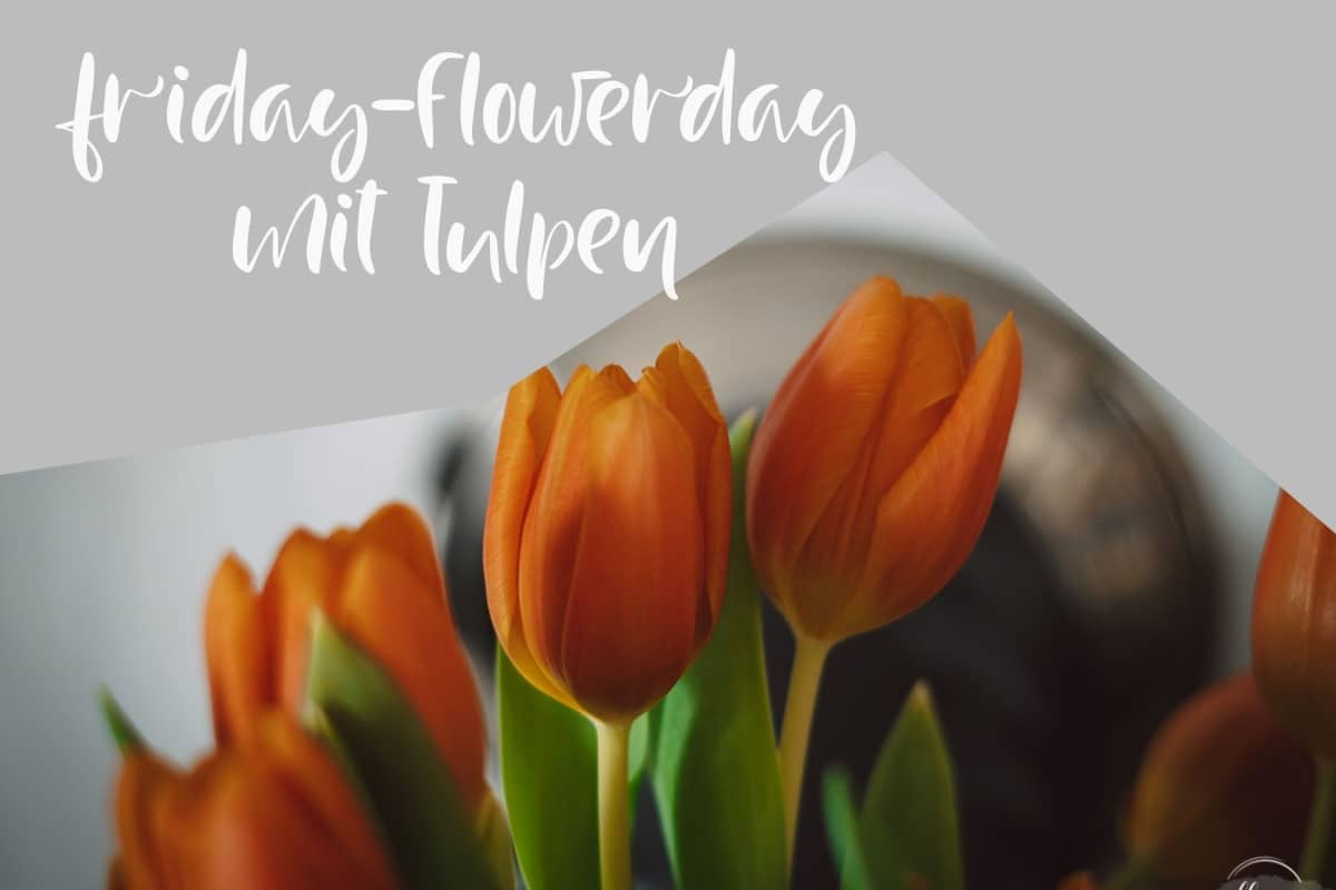 Friday-Flowerday-mit-Tulpen
