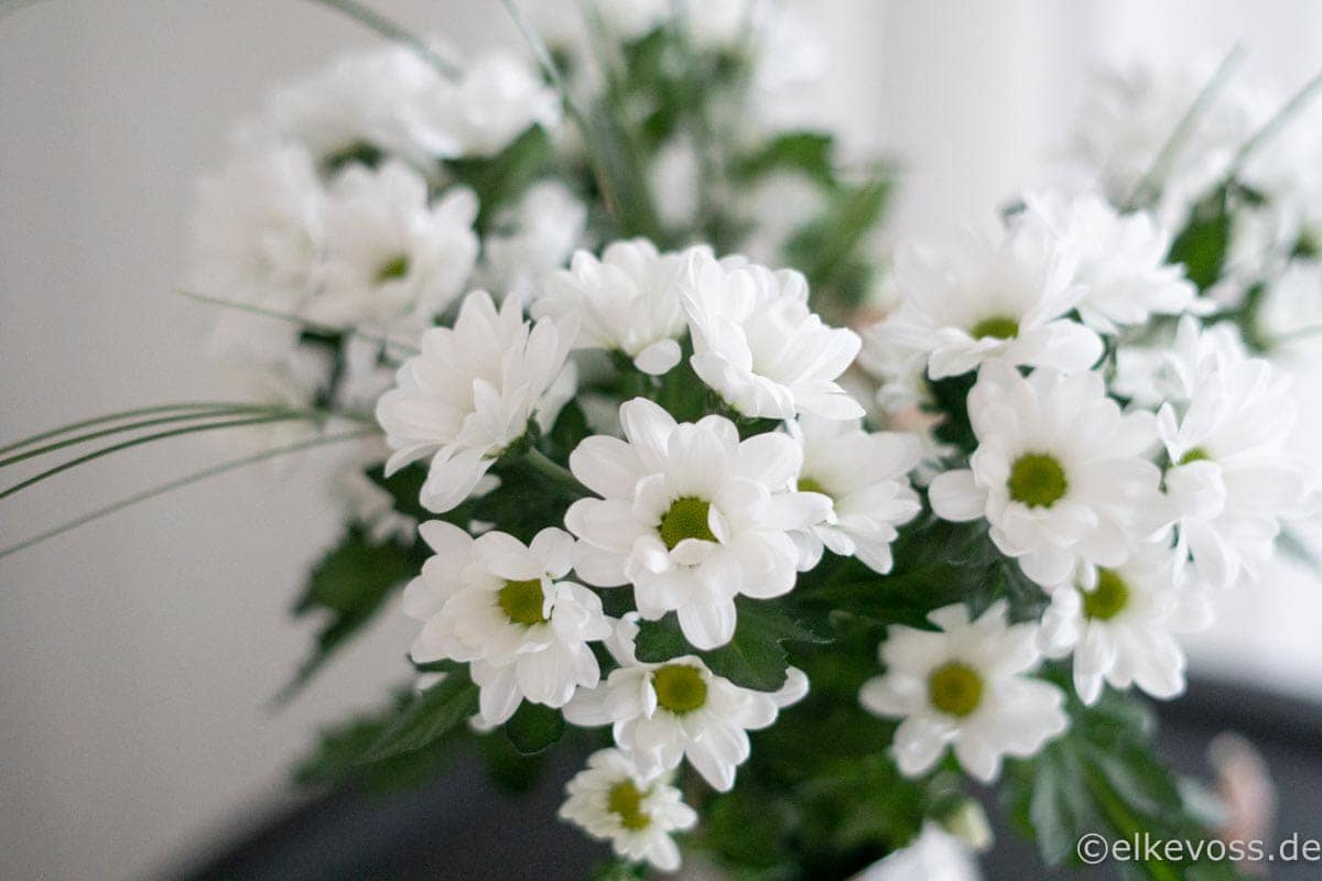 Friday-Flowerday_elkevoss.de