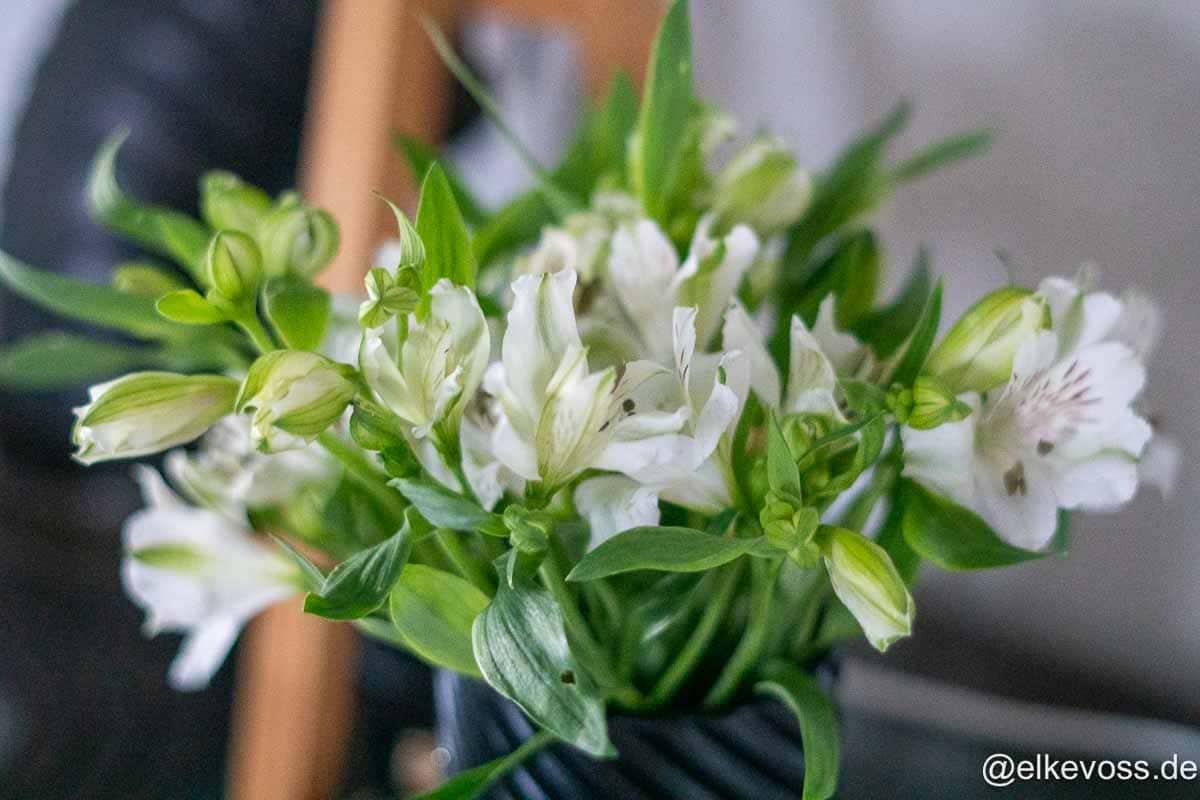 Friday-Flowerday-elkevoss.de