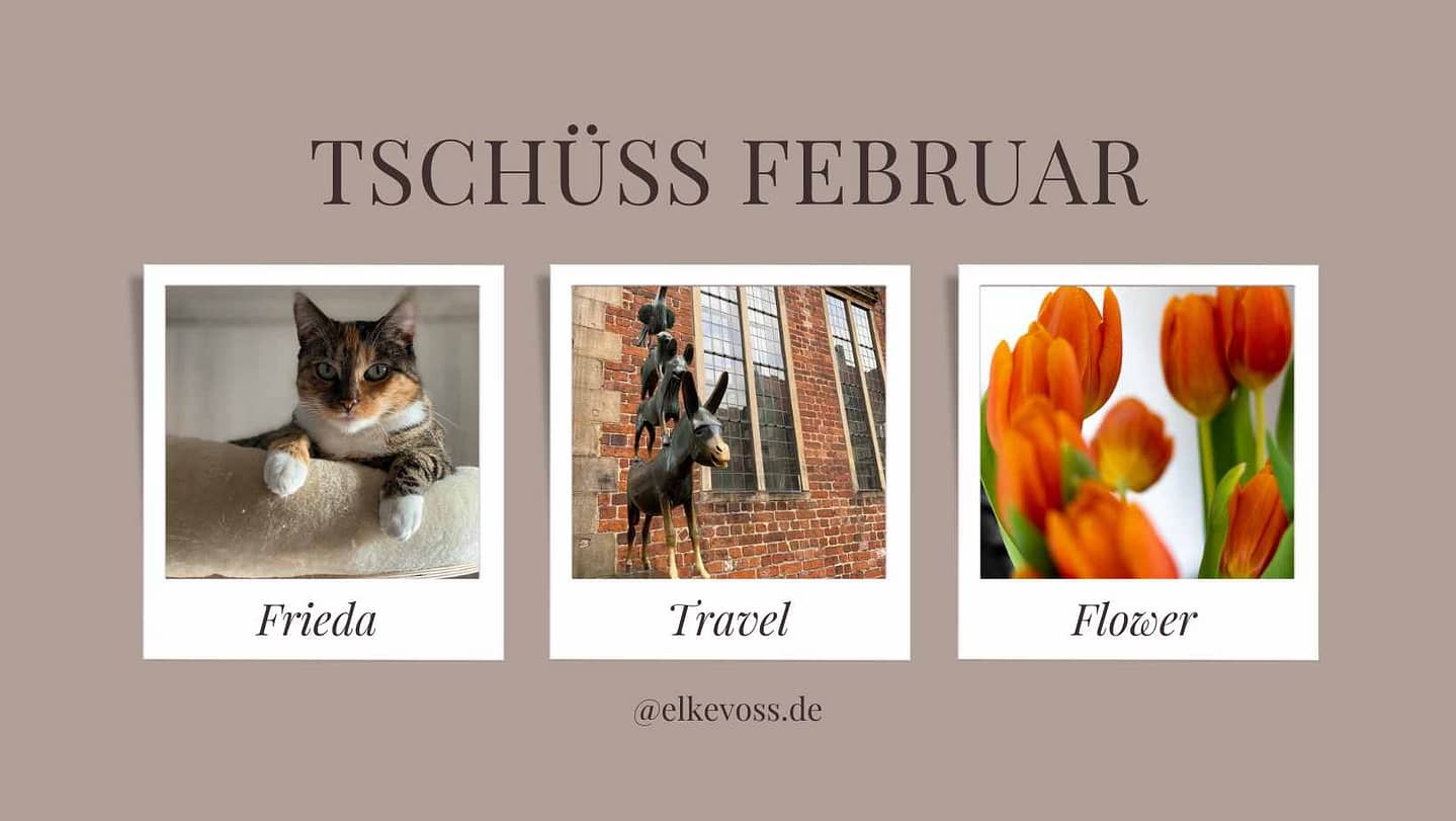 Februar-elkevoss.de
