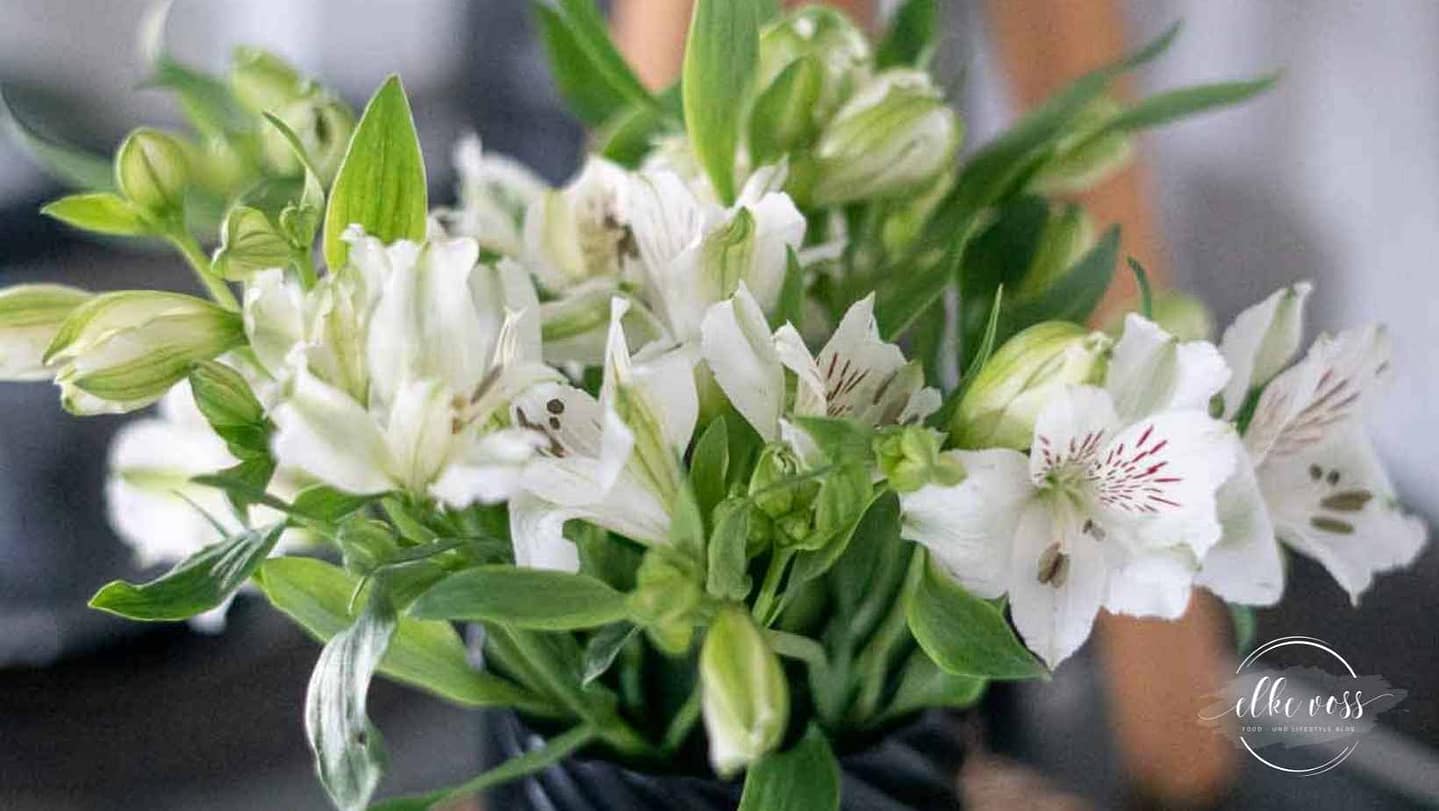 Friday-Flowerday-elkevoss.de