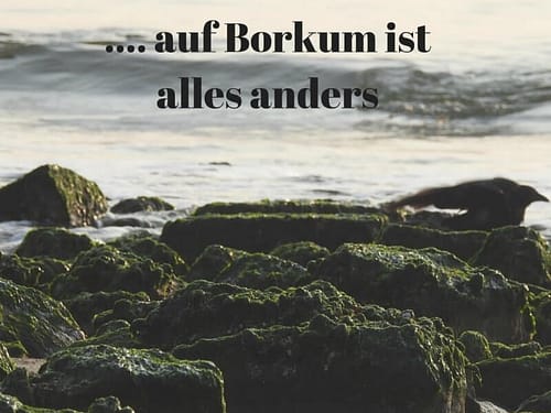 ElkeWorks-Borkum-Food-Lifestyleblog
