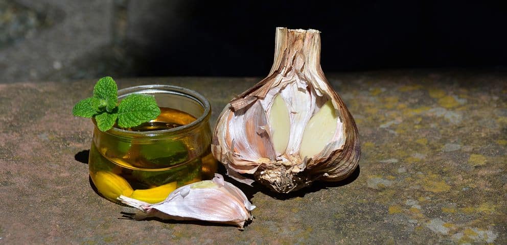 Knoblauchöl-elkevoss.de